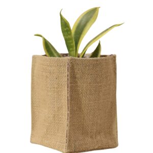 Jute Tabletop Planter