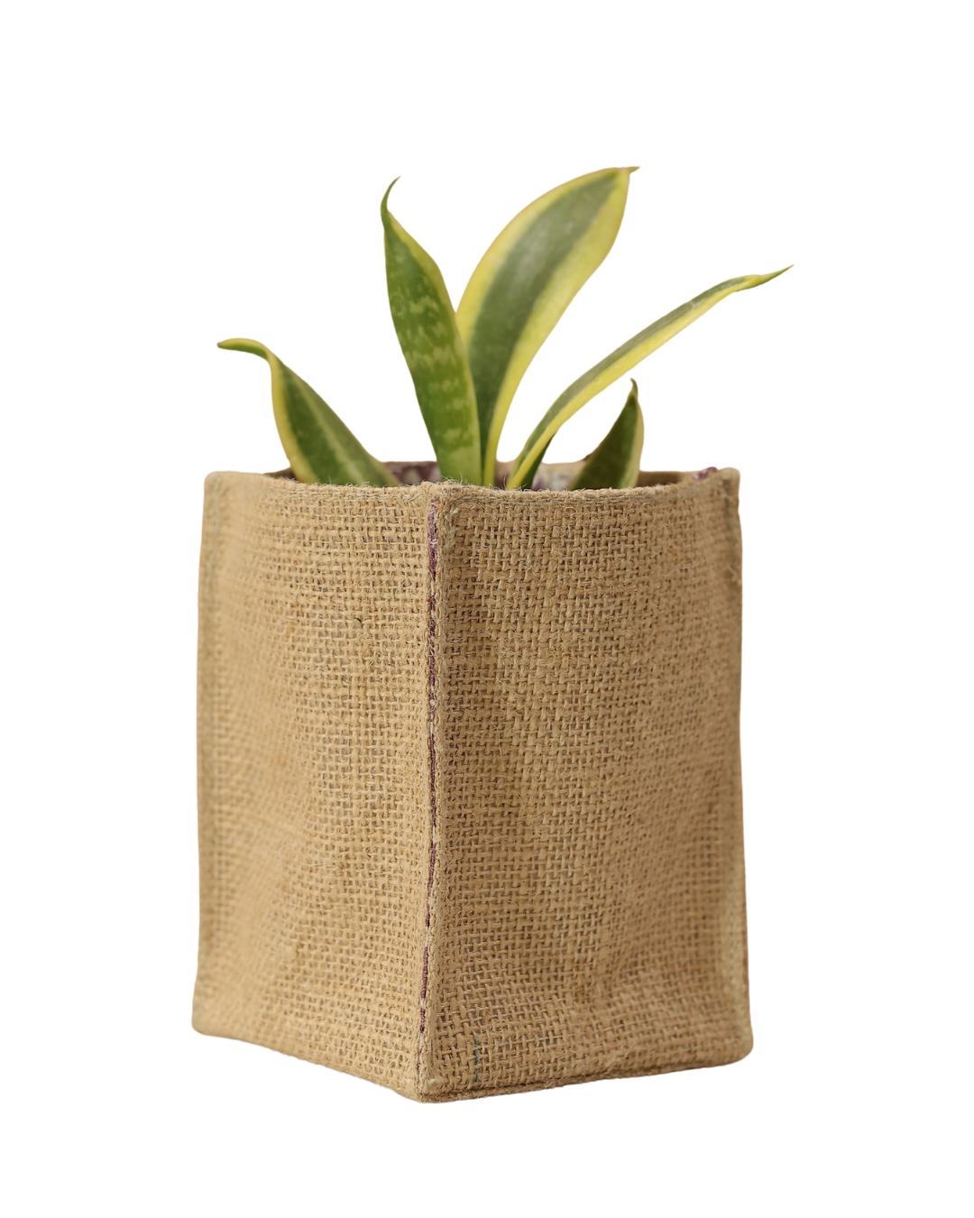 Jute Tabletop Planter